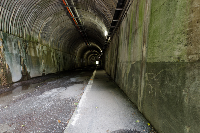 トンネル内部。空気がひんやりしていて、もちろん声は響く｜「夢の吊り橋」散策ルート：寸又峡プロムナード