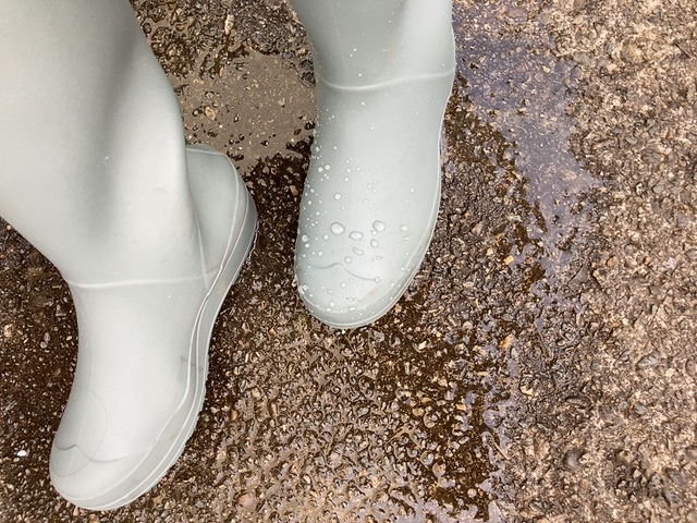 【ワークマン サファリライトレインシューズ】少し緑がかったカーキグレーのような感じで深みや上品さがあります