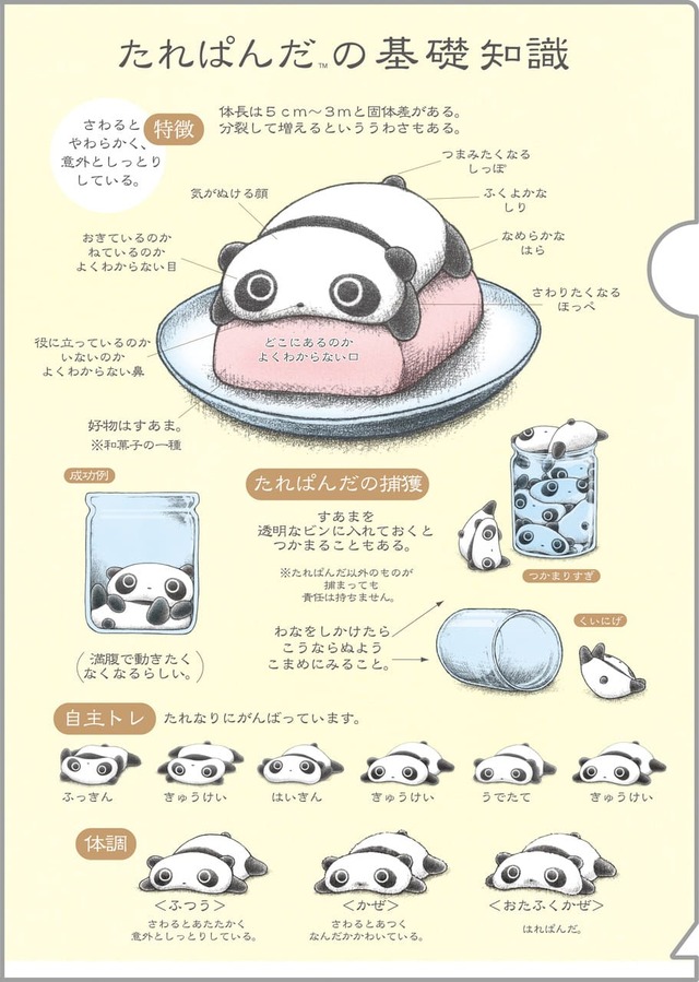 【サンエックスキャラクターズ　あのころのともだち】「クリアホルダーセット」たれぱんだ　※2枚セット　660円