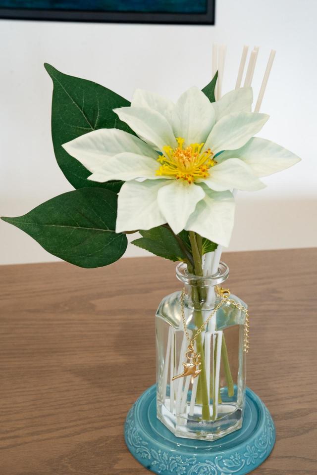 ルームフレグランス 5,900円|PRINCESS DAYS by Francfranc