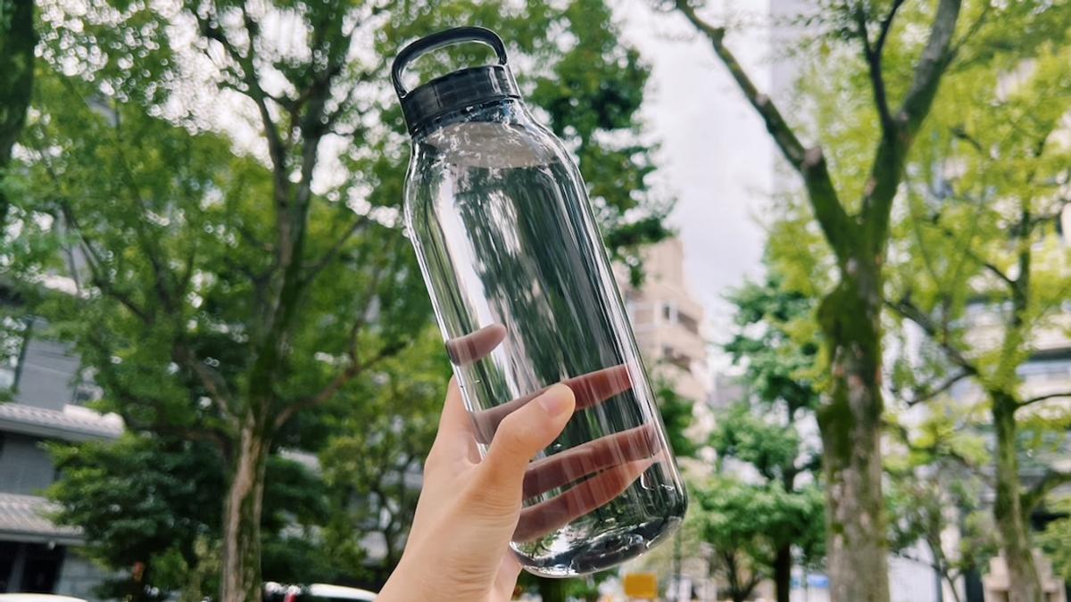 ヤスタ ビカクシダ4点セット+給水ボトル10個 ヤスタ様専用 ビカクシダ4点