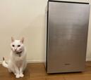 猫と「次亜塩素酸 空間除菌脱臭機（ジアイーノ）F-MV4300」