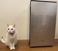 猫と「次亜塩素酸 空間除菌脱臭機（ジアイーノ）F-MV4300」