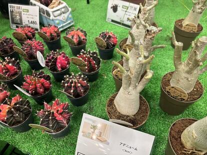 コメリ 業務用室外機 カバー ころ様 室外機カバー オーダー制作専用 ころ様