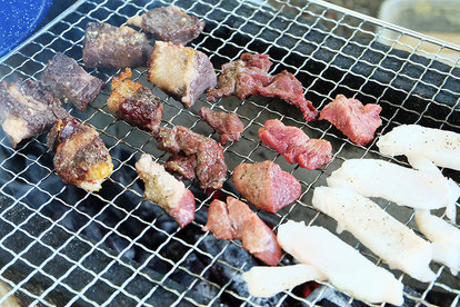 変わり肉bbq ワニ ラクダ カンガルーのお味は 牛 豚 鳥肉ng 全7種実食レポ 1 4 うまい肉