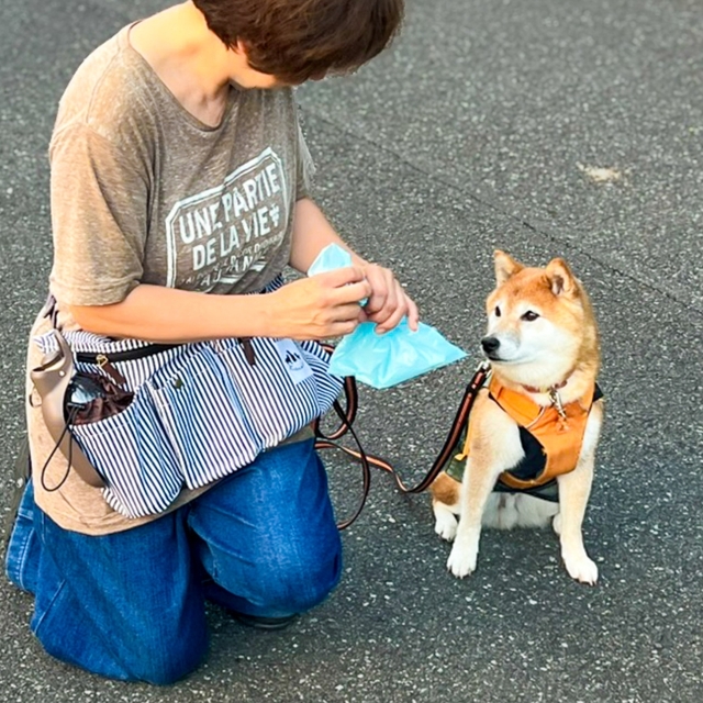 【KAINU犬用お散歩バッグ大容量ウエストポーチ】Dカンにリードをつなげば、うんちの処理も両手でできます