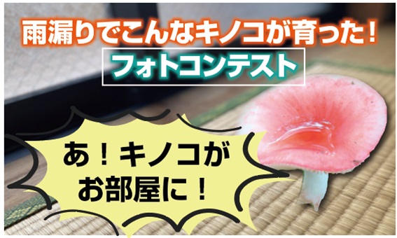 前代未聞のフォトコンテスト開催！賞品も豪華