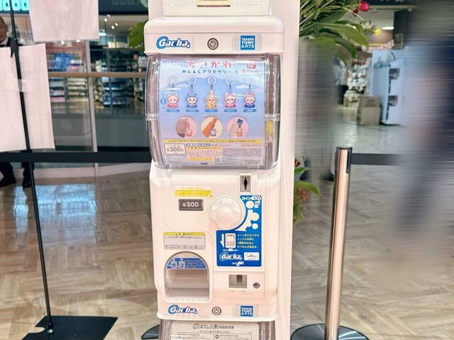 人気のめじるしアクセサリーのガシャポンも!