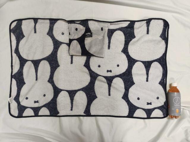 サイズ目安画像