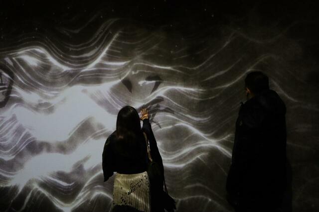 滝が流れ花びらや光が自由に舞う