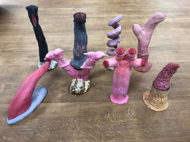 様々な生き物の陰茎模型8種／夜のサンシャイン水族館　性いっぱい展おかわり♡