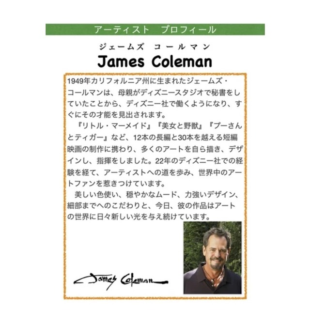 ディズニーファインアート ピッキングフラワーズ 世界限定295枚 638,000円