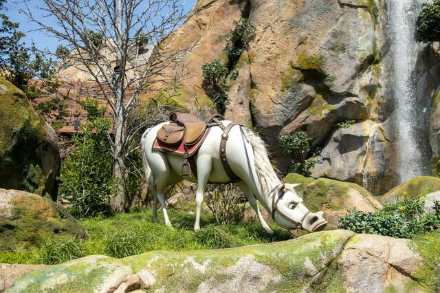 東京ディズニーシー「ファンタジースプリングス」内「ラプンツェルのランタンフェスティバル」