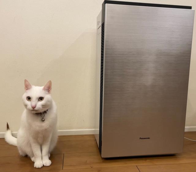 猫と「次亜塩素酸 空間除菌脱臭機（ジアイーノ）F-MV4300」