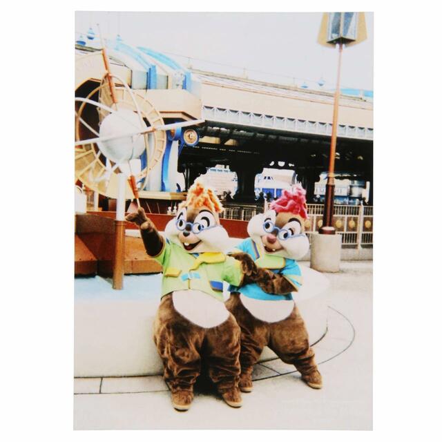 写真 500円|東京ディズニーリゾート・フォトグラフィープロジェクト「イマジニング・ザ・マジック」第2弾グッズ|東京ディズニーリゾート40周年“ドリームゴーラウンド”|発売日:2023年12月7日(木)|販売店舗:東京ディズニーランド「グランドエンポーリアム」、東京ディズニーシー「ヴァレンティーナズ・スウィート」