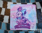 ミニーのファンダーランド スーベニアコースター