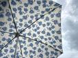 【ニトリ 晴雨兼用折りたたみ傘(55cm フラワーBL)】どんな天気でも気分が上がりそう