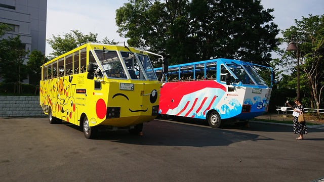 ©2019 Pokemon. ©1995-2019 Nintendo/Creatures Inc. /GAME FREAK inc.