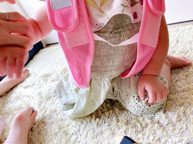 【赤城工業株式会社 アイスハーネス】まだ慣れてない状態では機嫌がいいときに着せることをお勧めします