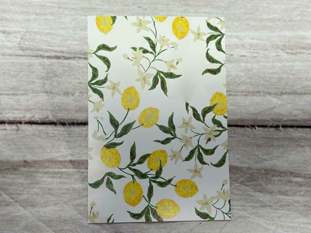 2010 SS COLLECTIOINのカプリ島のようなヨーロッパの南の方のバカンスをイメージして生まれたレモン柄