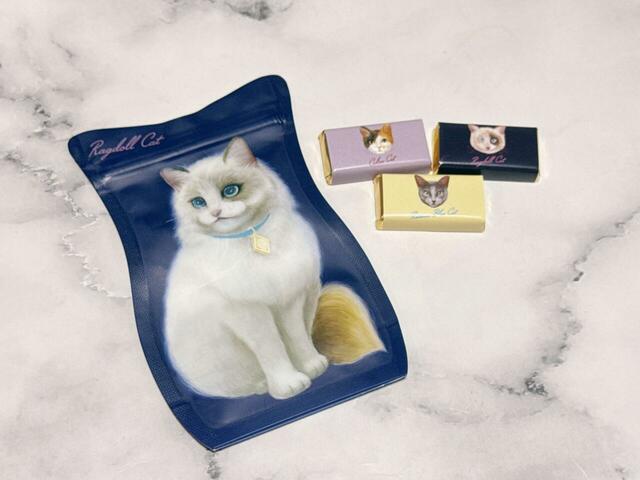 【カルディ キャット ミニパック チョコレート】ジッパーバッグの中には個包装のチョコレートが3つ入っています