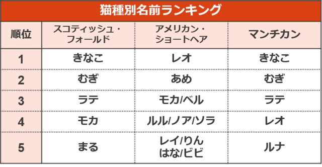 猫種別名前ランキング【ペットの名前ランキング2023】