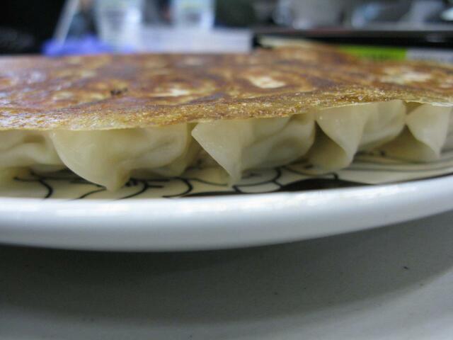 横から見ると、羽根の美しさがよくわかります