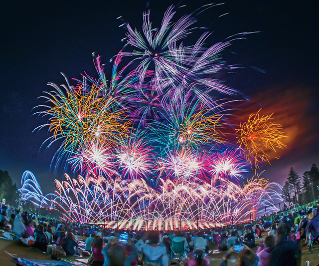 NARITA花火大会 in 印旛沼