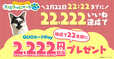 【「ファミリ〜にゃ〜ト大作戦！」】22,222いいね達成で、2,222円相当の「QUOカードPAY」が当たるXキャンペーン