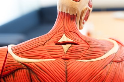 衝撃おもちゃ】「進撃の貯金」に次世代けん玉まで! バンダイ“攻めの