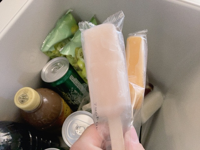 【アイリスオーヤマ HUGEL 真空断熱クーラーボックス】少しの間ならアイスなどの冷凍食品も入れられます