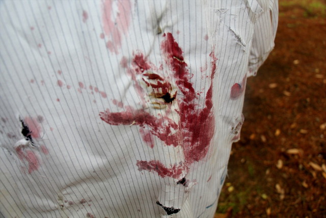 ゾンビウォーキング／恐怖（？）の模様