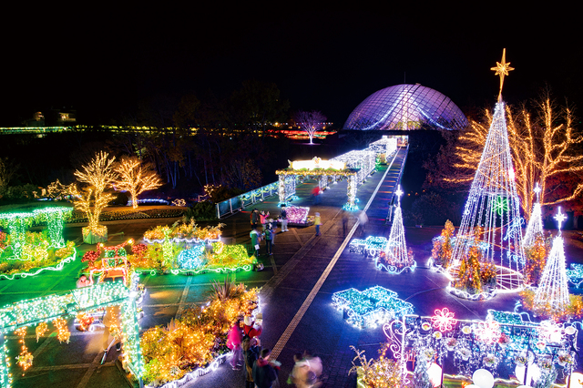 フラワーイルミネーション in とっとり花回廊