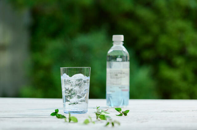 スパークリングウォーター ミント 無糖 規格：500ml 税込価格：¥150