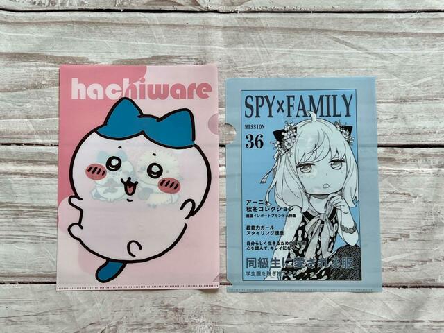 一般的なA4クリアファイルよりも一回り小さいサイズ感