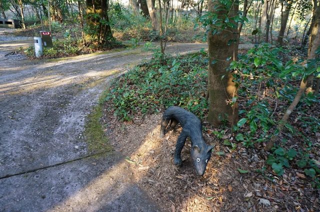 藤浩志さんの作品「犬と散歩」
