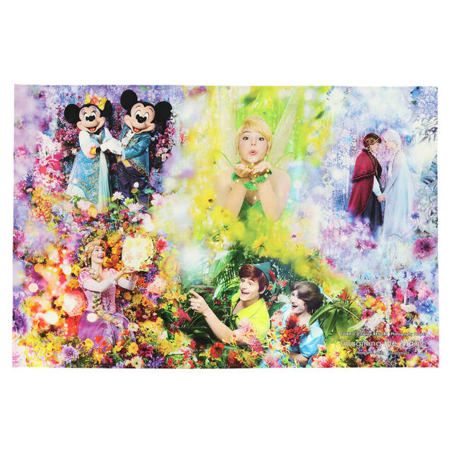 レジャーシート 1,150円｜東京ディズニーリゾート・フォトグラフィープロジェクト「イマジニング・ザ・マジック」グッズ｜販売店舗：東京ディズニーランド「ギャグファクトリー／ファイブ・アンド・ダイム」、東京ディズニーシー「エンポーリオ」｜発売日：2026年3月6日（金）