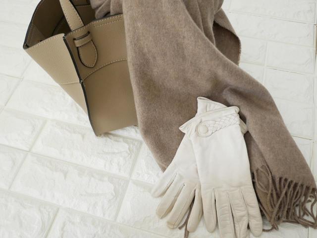 ファッションセンターしまむら『ゴウヒヘンケイ2WAYバッグ』