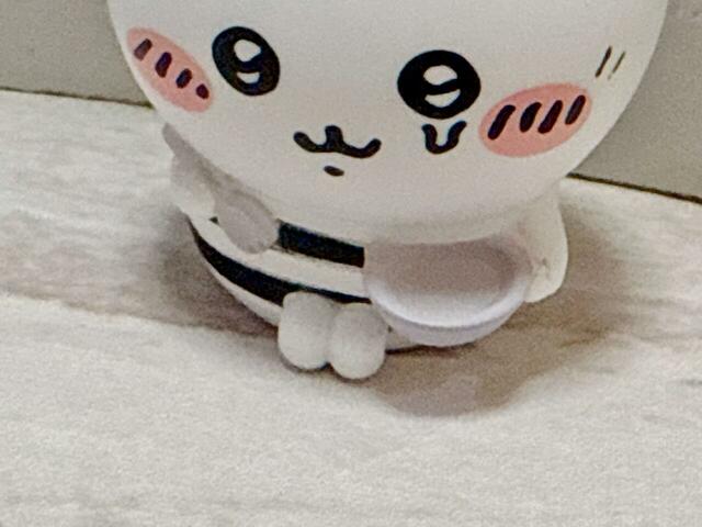 ハチワレもお椀とスプークを持っています。お行儀よくお座りしているかわいい足も不憫に見えますね…