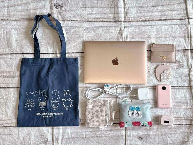 550mlのペットボトルも入りますが、ノートPCと入れると形が崩れてしまうため、今回は収納するのをやめました。仕事の際のサブバッグとしてもおすすめ！