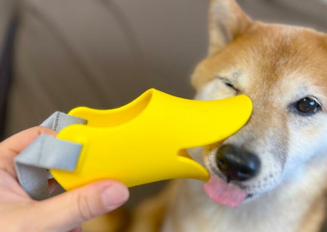 【OPPO quack（クァック）】時々遊びながらのんびり練習します