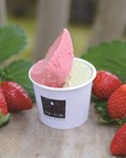 【栃木】伊澤いちご園／ジェラート2種盛 とちおとめ×ピスタチオ
