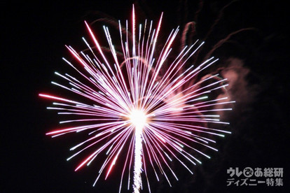 お家から見えますか Tdr花火の見える聞こえるエリアを徹底調査 1 3 ディズニー特集 ウレぴあ総研