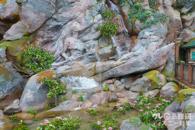 ファンタジースプリングス　ロックアート