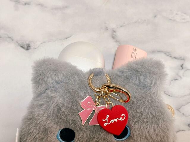 ガジェット類を入れるポーチとしても◎