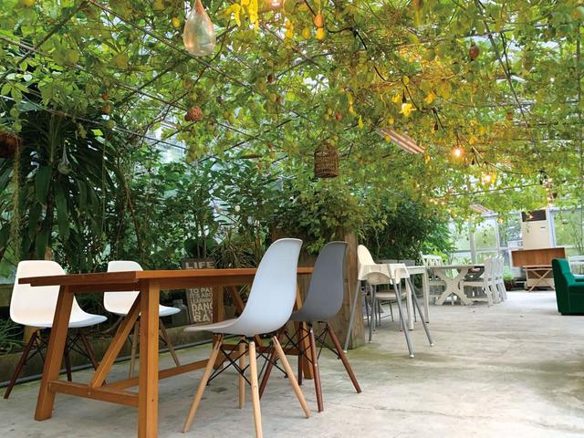 名倉メロン農場【静岡・袋井】