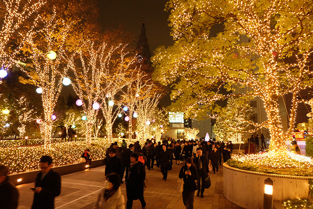 「新宿ミナミルミ」