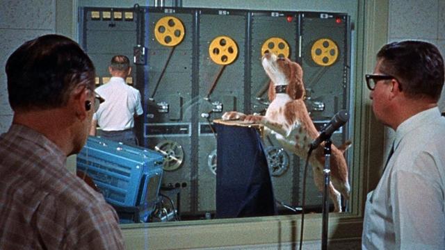 『イマジニアリング～夢を形にする人々』