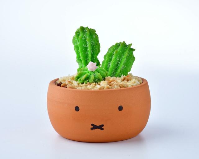 「フラワーミッフィー　サボテンポットプリン」＜1,080円（税込）＞【フラワーミッフィー ジュースガーデン】