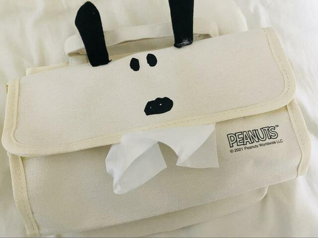 【SPRiNG　スヌーピーの持ち運べるインテリアバッグ】便利なティッシュケース